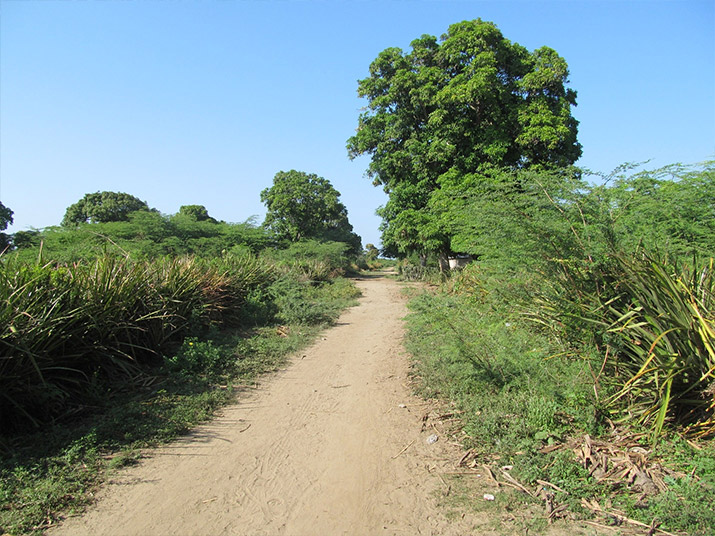 northwest-coast-1