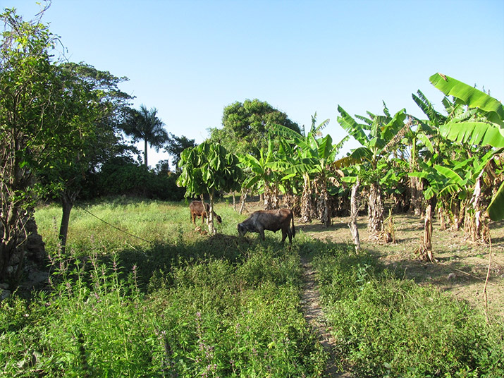 northwest-coast-2