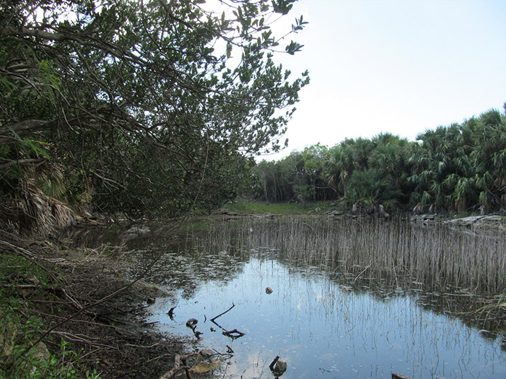 pond-on-Aniyana